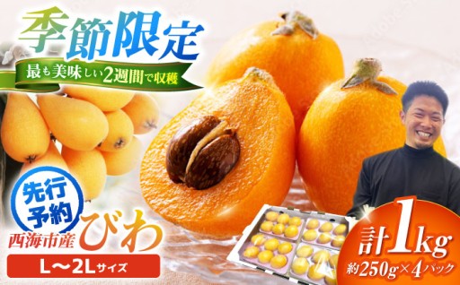 びわ 【先行予約】 西海市産 びわ 約1kg L～2Lサイズ ビワ biwa ＜パッパラパー農園＞