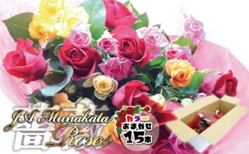 大切な人への贈り物に！バラの花束ミックス15本