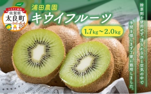 体が喜ぶ☆キウイフルーツ（ヘイワード）10～16個 浦田農園