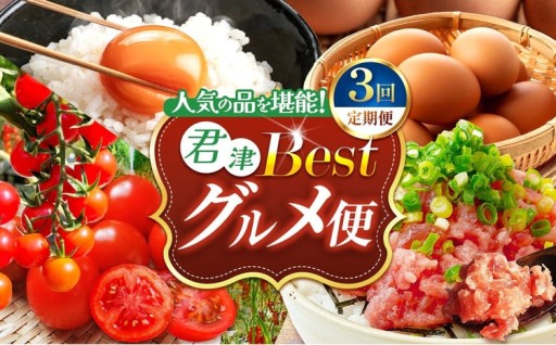 定期便 3回 大人気 ! 【 ベストグルメ 便 】 