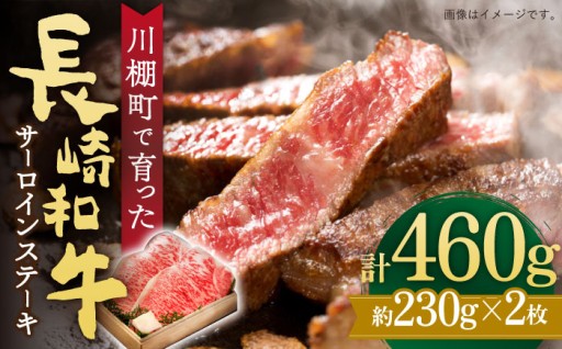 サーロインステーキ 長崎和牛 計460g（2枚）サーロイン 【川下精肉店】[OAA012]