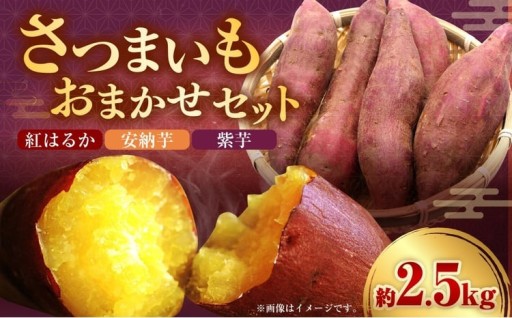 さつまいもおまかせセット 約2.5kg （ 紅はるか、 安納芋、 紫芋 ）