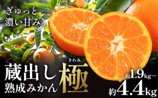 ★今シーズン発送★すぐ届く　村のご自慢みかん「極」
