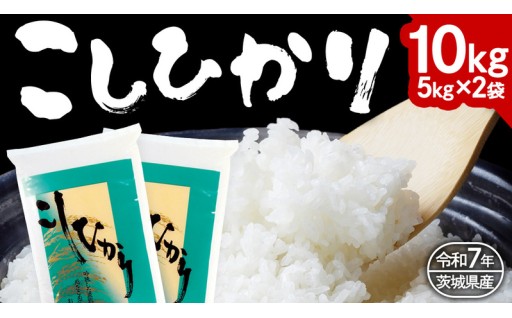 令和7年産こしひかりの受付が開始しました🚚🌾