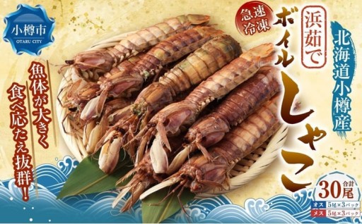 ボイル しゃこ オス・メス 合計30尾 （各15尾）