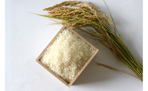 2025年度産 ミクニ農園　ヒノヒカリ 5kg