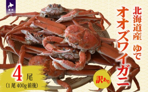 オオズワイガニ☆