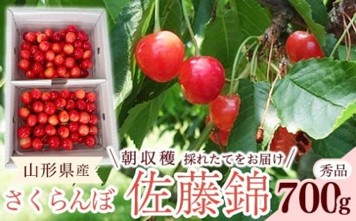 山形県寒河江市で育った本場の佐藤錦