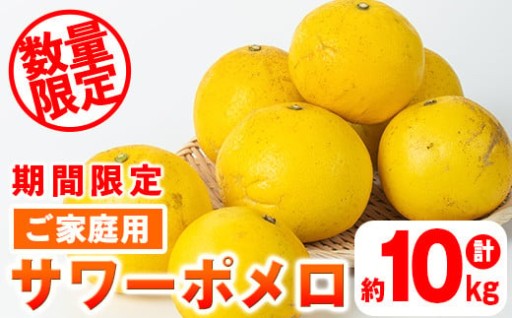 《期間・数量限定》ご家庭用サワーポメロ(約10kg)