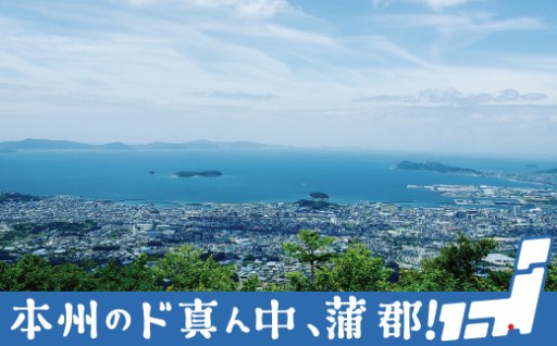 蒲郡市の魅力が詰まったお礼の品の数々をご覧ください！