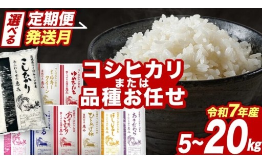 ＼ スピード発送有！ ／量が選べる！品種はおまかせのお米！