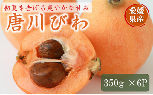 爽やかな甘み😊唐川びわ✨350g×6パック入り