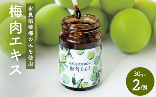 ＼氷見稲積梅100%でつくりました／梅肉エキス 2個