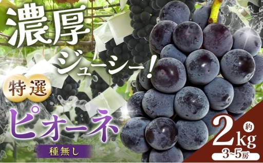 【先行予約】上郡町 船坂ぶどう 特選ピオーネ ( 種なし ) 2kg