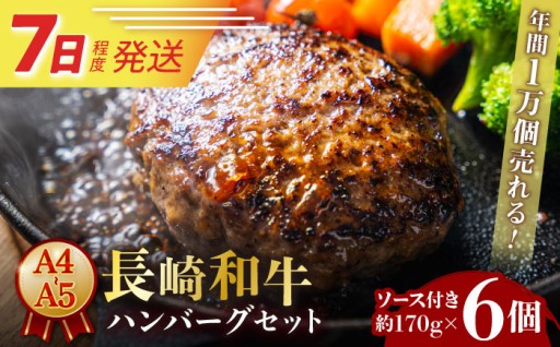 長崎和牛100%！「至福の肉厚ハンバーグ」6個