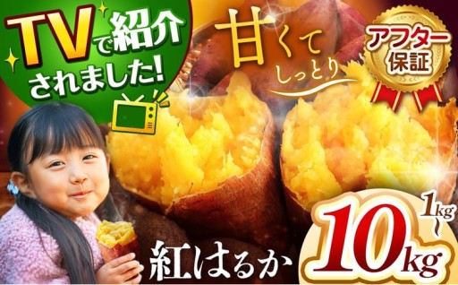 紅はるか! 選べる容量1kg ~ 10kg
