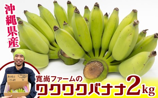 【沖縄県産】寛尚ファームのワクワクバナナ　2kg