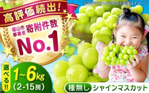 輝く大粒の甘み！沼隈町産の極上シャインマスカット