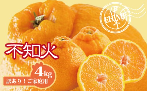 不知火🍊訳あり約4kg📦ご家庭用（サイズミックス）