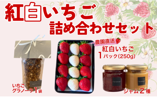 紅白いちご詰め合わせセット🍓グラノーラ・ジャムのセット