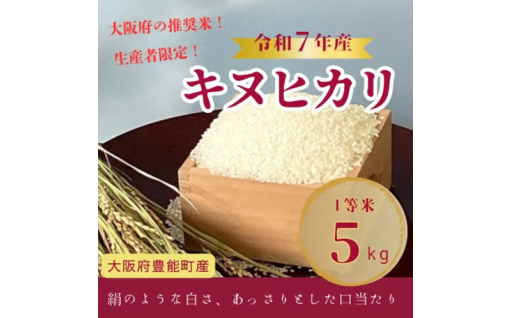 ＜令和7年産米＞大阪府豊能町産　キヌヒカリ　精米5kg　生産者限定米