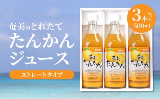 フレッシュな味をそのままに！奄美のとれたてたんかんジュース 3本セット🍊