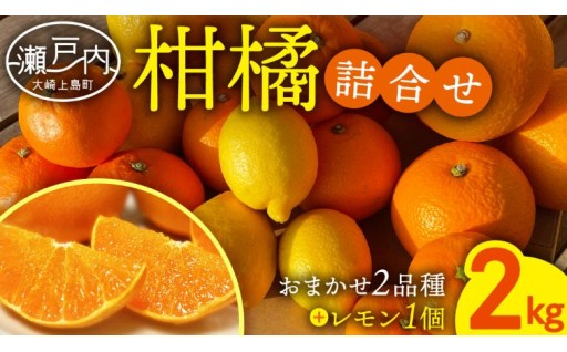 「甘み」「酸味」「香り」を食べ比べて楽しめます