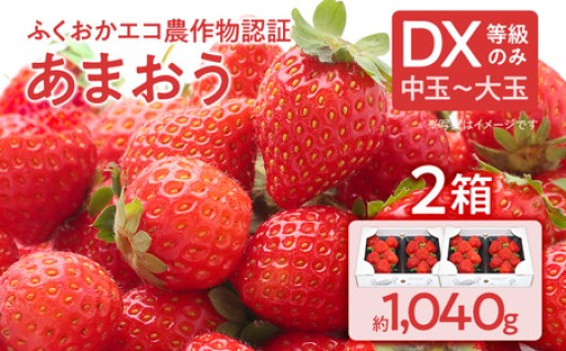 【まもなく受付終了！】🍓ふくおかエコ農作物認証 あまおう DX等級のみ 2箱セット🍓