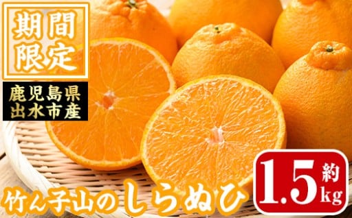 ≪数量・期間限定≫いずみ産 竹ん子山のしらぬひ(約1.5kg)