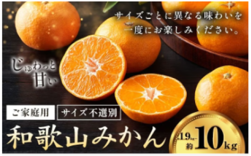 令和8年（2026年）秋から冬にかけてお届けする「和歌山みかん」の先行予約を開始いたしました。