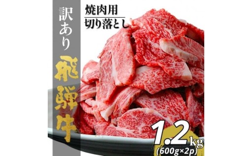 ＜訳あり＞飛騨牛切り落し焼肉用