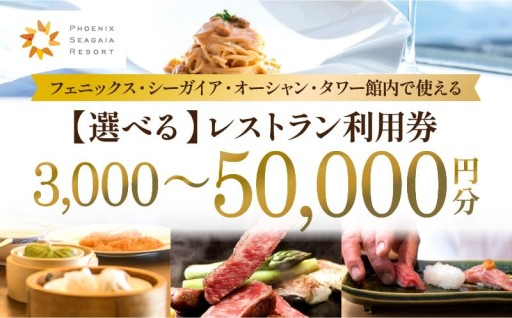 【宮崎県宮崎市】《選べる》レストラン利用券 🍽️