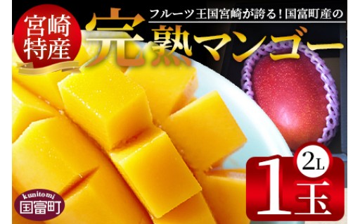  ＜宮崎特産！国富町産の完熟マンゴー 1玉＞
