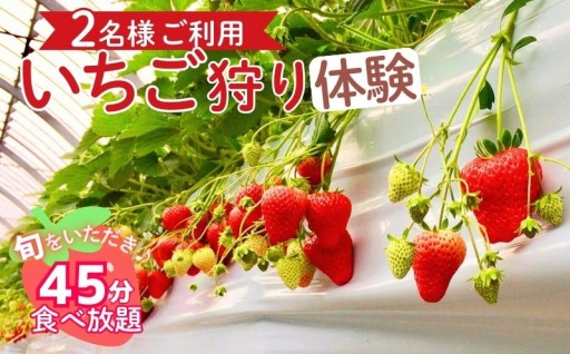 四日市で旬の味を体験！「いちご狩り」ペアご利用