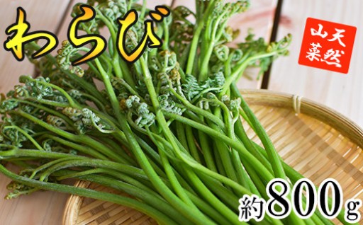  【早期予約開始】天然山菜 わらび