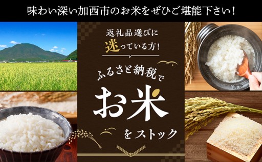＼ 加西市のお米特集🌾 ／