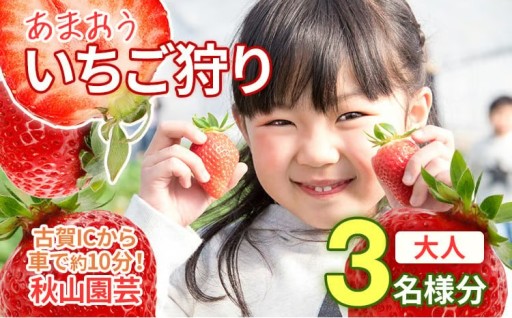 【旬真っ盛り！🍓】６０分食べ放題！いちご狩りチケット🎟️＜大人１名様分×３枚＞