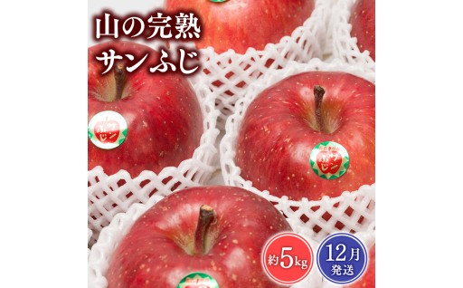 ≪2026年12月発送≫山の完熟サンふじ約5kg