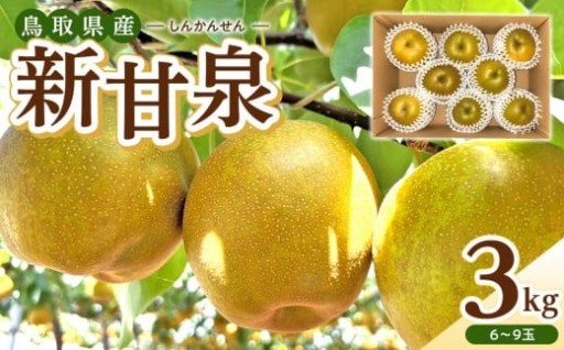 【数量限定】2026年度発送 先行予約 新甘泉 3kg