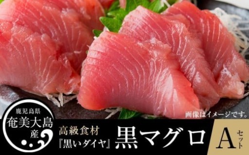 鹿児島県奄美大島産高級食材『黒いダイヤ』黒マグロ　Aセット