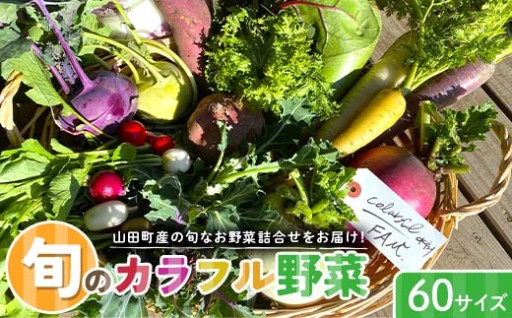 ≪先行予約≫★減農薬★旬のカラフル野菜詰め合わせ（60サイズ）