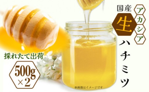 三春町産「アカシアの国産生はちみつ」500g×2