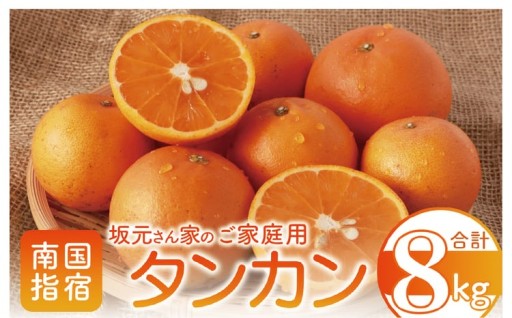 南国の甘みたっぷり🍊“ミカンの王様”タンカン 約8kg