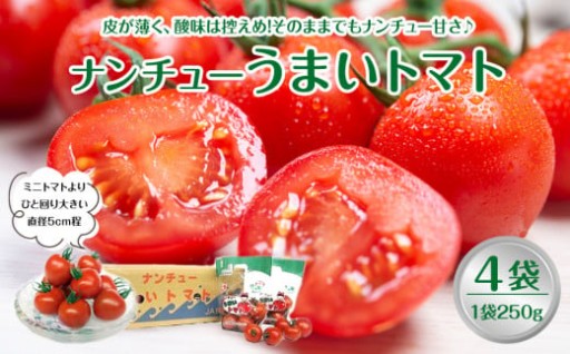 【先行予約】【ＪＡ】ナンチューうまいトマト（中玉トマト）　Ａ・250g×4袋
