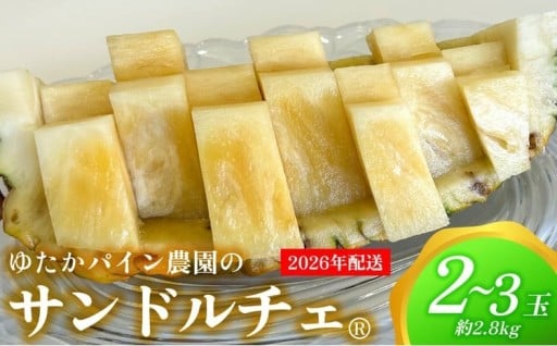 ゆたかパイン農園のサンドルチェ 2～3玉（約2.8kg）