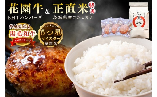 正直米とBHTハンバーグ(BY003) 