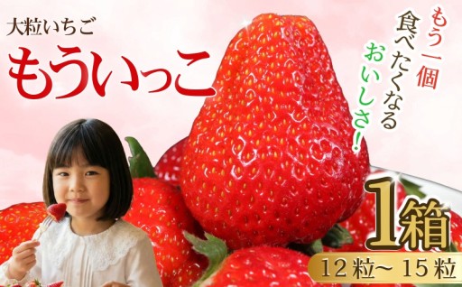 もう一個、が止まらない。希少いちご『もういっこ』農園直送 銚子の畑から直送