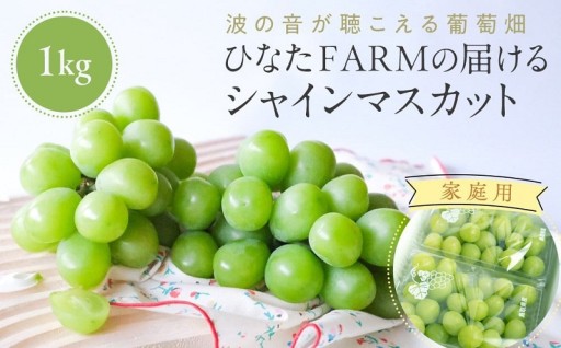 【家庭用】波の音が聴こえる葡萄畑 ひなたFARM シャインマスカット
