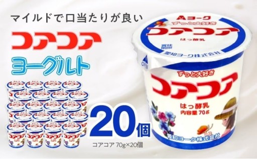愛知ヨーク　コアコアヨーグルト　20個入　ヨーグルト 