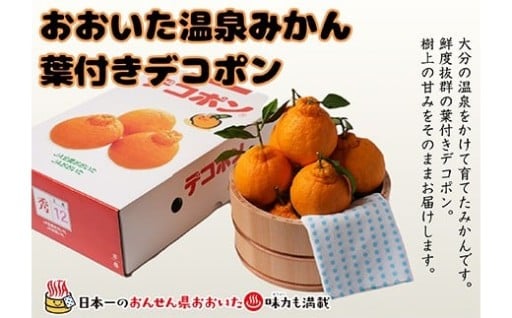 大分おんせんミカン「屋根掛けデコポン 約3kg」